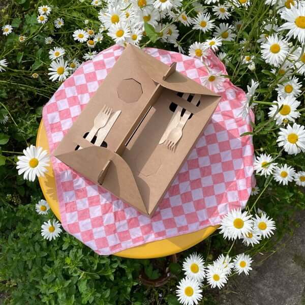 Take Away Picnic Box Picnic Box Made Of Cardboard Take Away Box