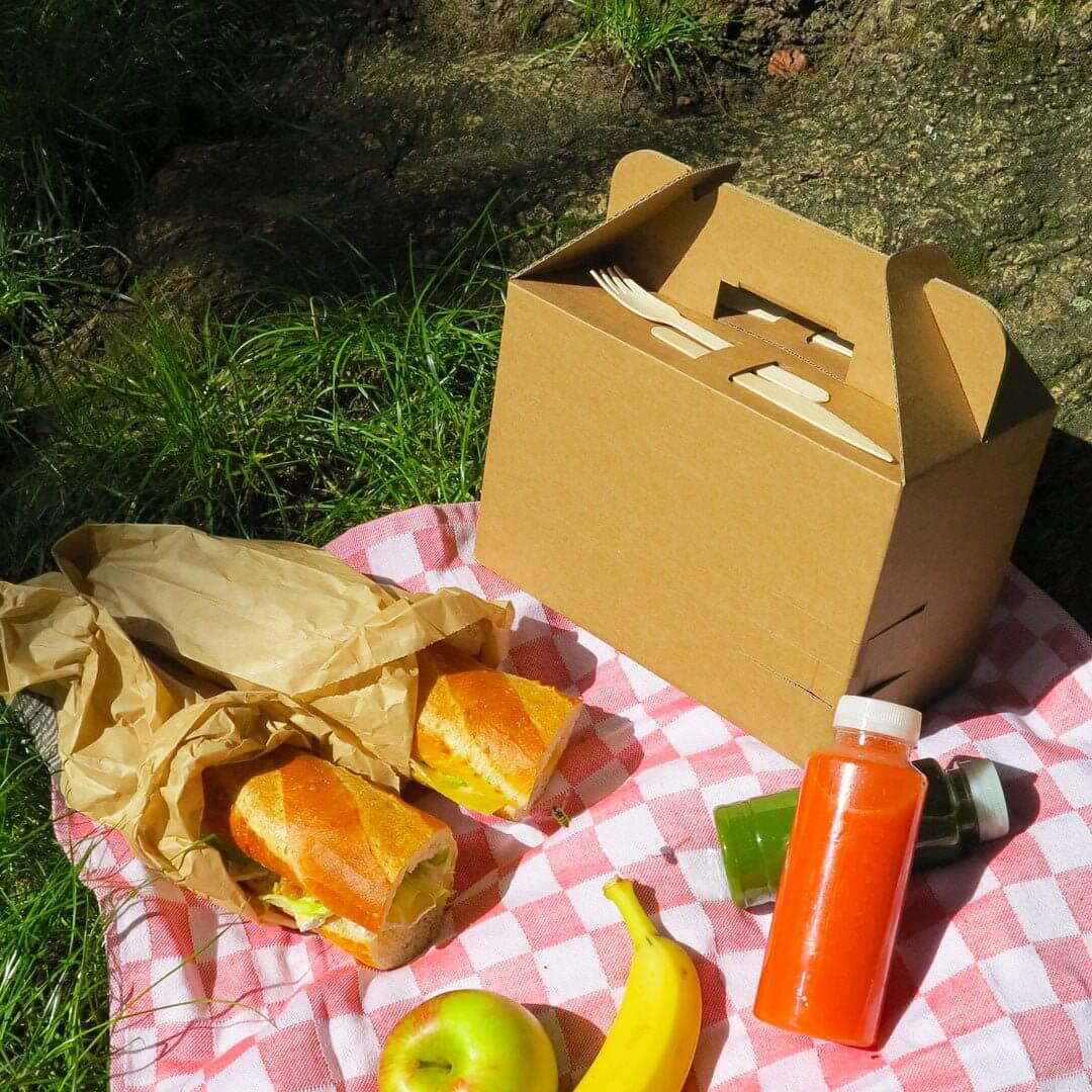 Lunch box with cardboard handle - Picnic box made of cardboard